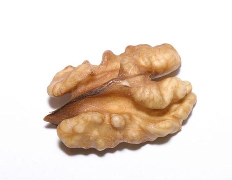 Juglans regia, Walnuß (Frucht)