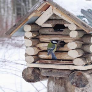 Vogel-Nisthilfen/ Nistkästen