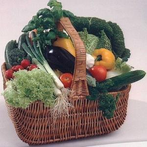 Gemüse: Gemüse/ Salate Einführung