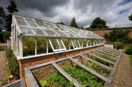 Was ist ein Luftentfeuchter – Gewächshaus & Indoor-Landwirtschaft